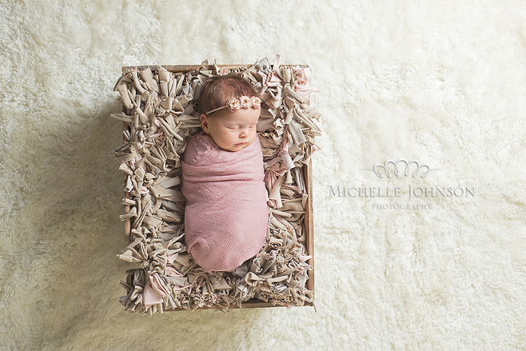 Bellingham, WA newborn photography