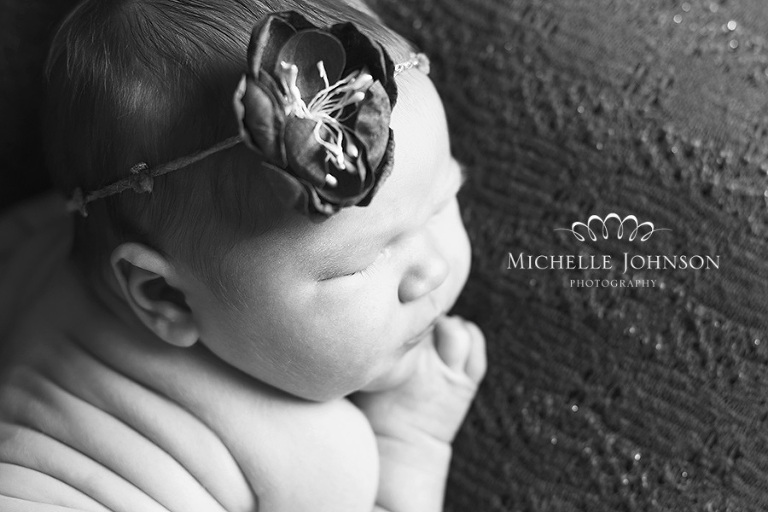 Blaine Newborn Photographer