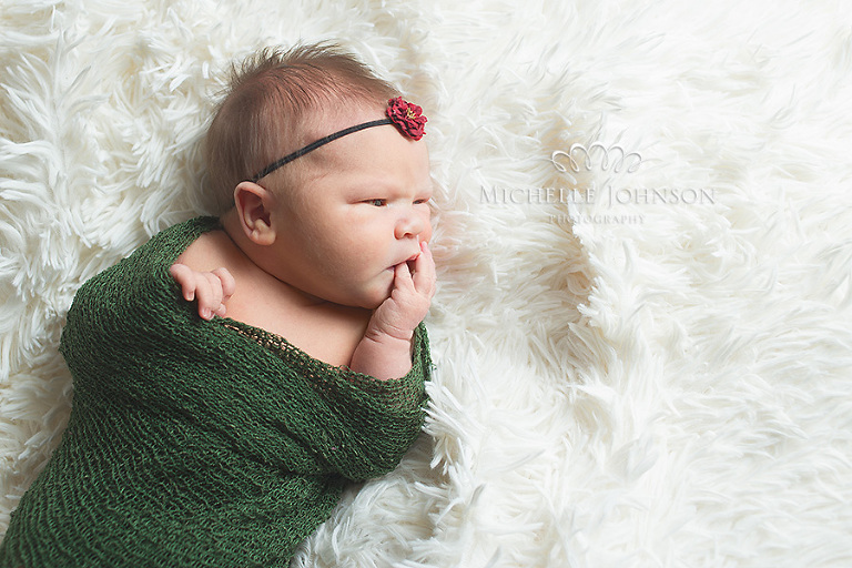 Blaine Newborn Photographer