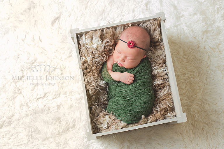 Bellingham WA Newborn Photographer