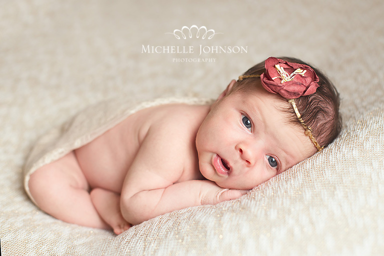 whatcom newborn photography