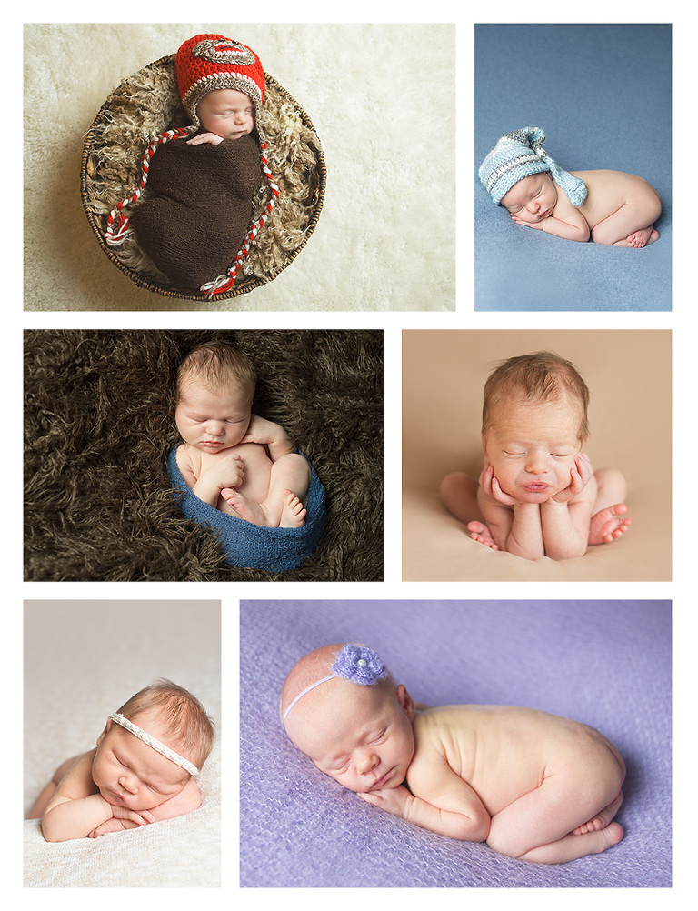 Bellingham Newborn Photography