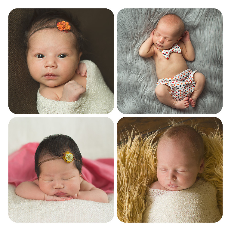 Bellingham Newborn Photography
