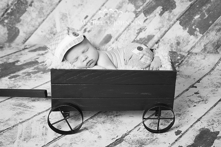 Whatcom County Baby Photographer