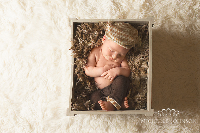 Lynden Newborn Photography