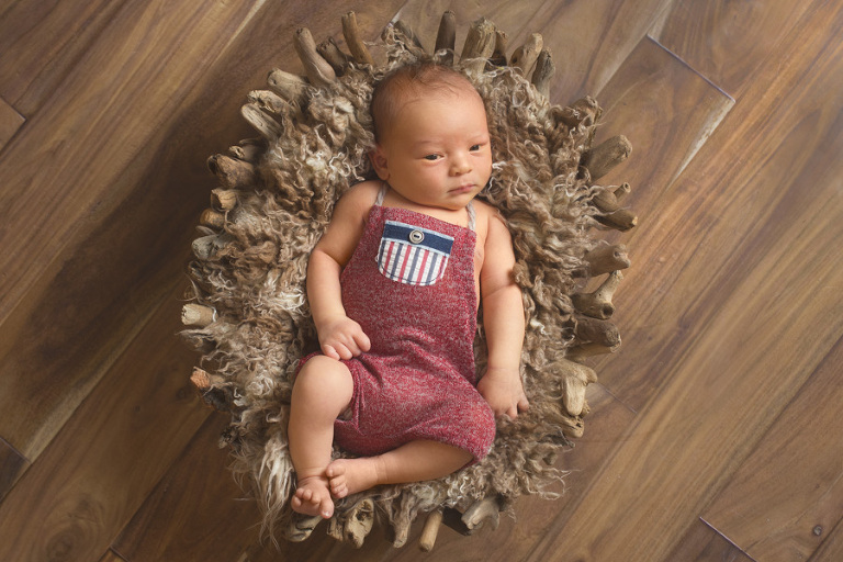 Bellingham Newborn Photos