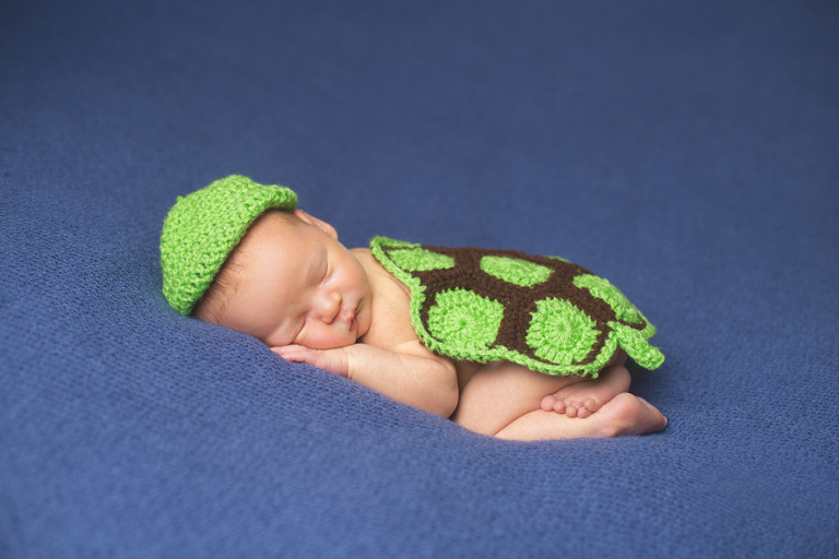 Bellingham Newborn Photos