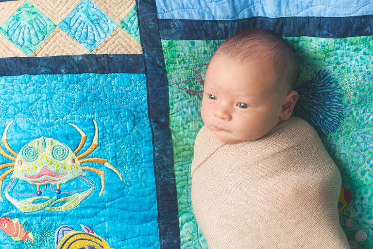 Bellingham Newborn Photos