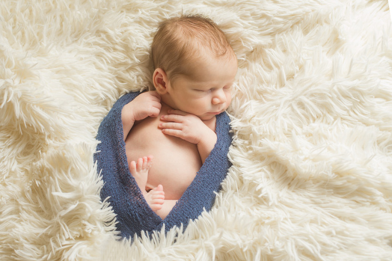 Ferndale Newborn Photos