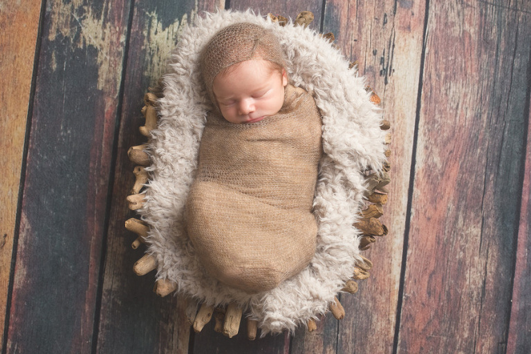 Ferndale Newborn Photos