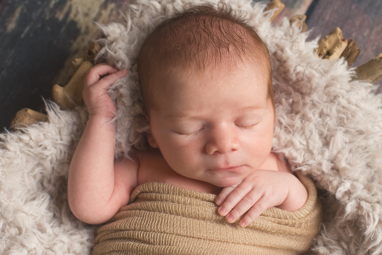 Ferndale Newborn Photos