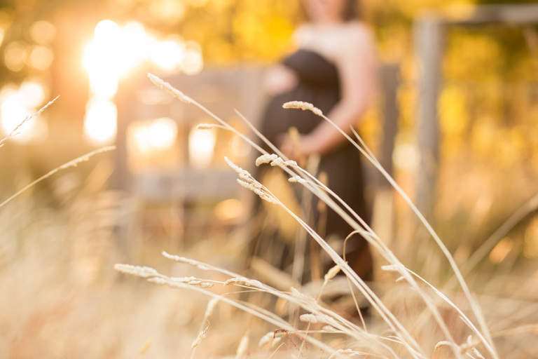 Whatcom Maternity Photos