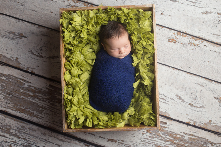 Newborn Photographer Lynden, WA