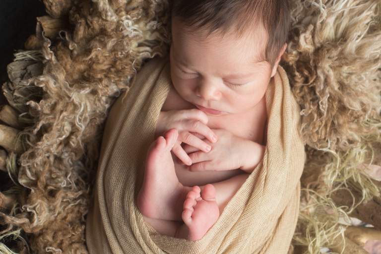 Newborn Photographer Lynden, WA
