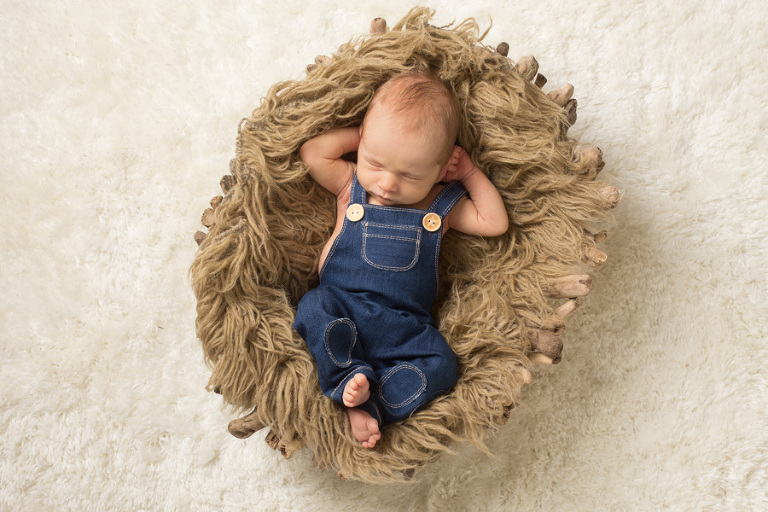 Bellingham WA Newborn Photography
