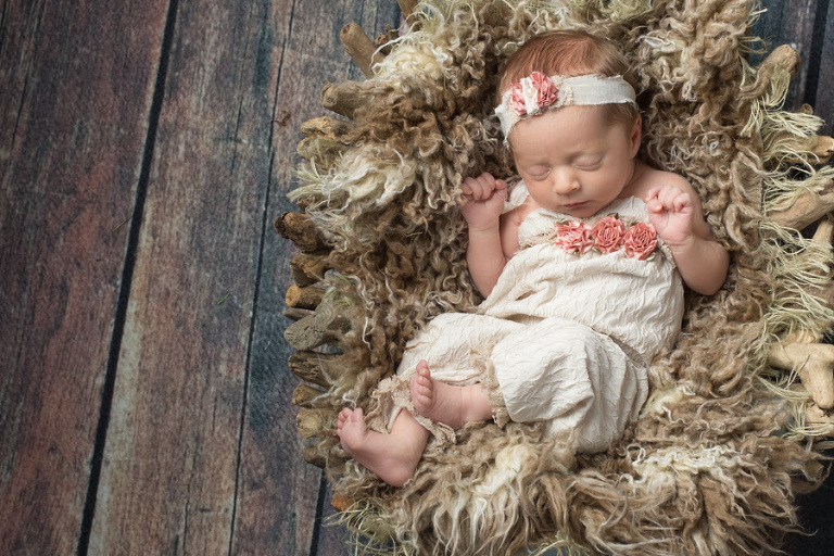 Whatcom County Newborn Photos