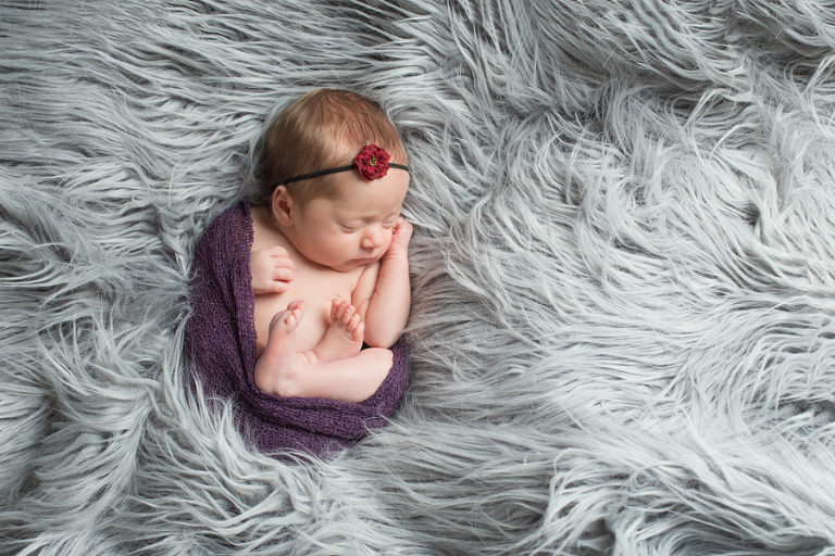 Whatcom County Newborn Photos