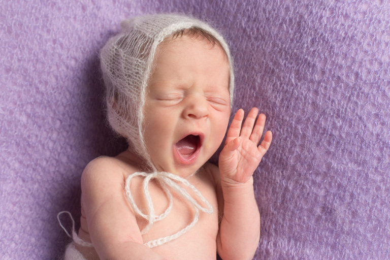 Whatcom County Newborn Photos