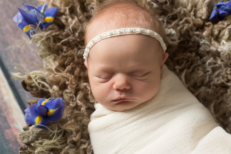 Bellingham, WA Newborn Portraits