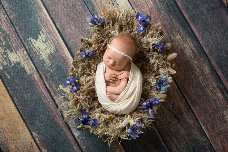 Bellingham, WA Newborn Portraits