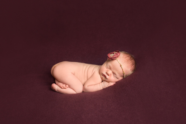 Bellingham, WA Newborn Portraits