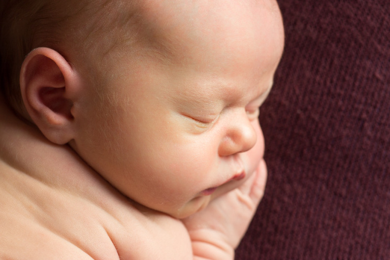Bellingham, WA Newborn Portraits