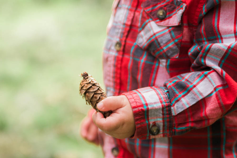 Whatcom Baby Portraits